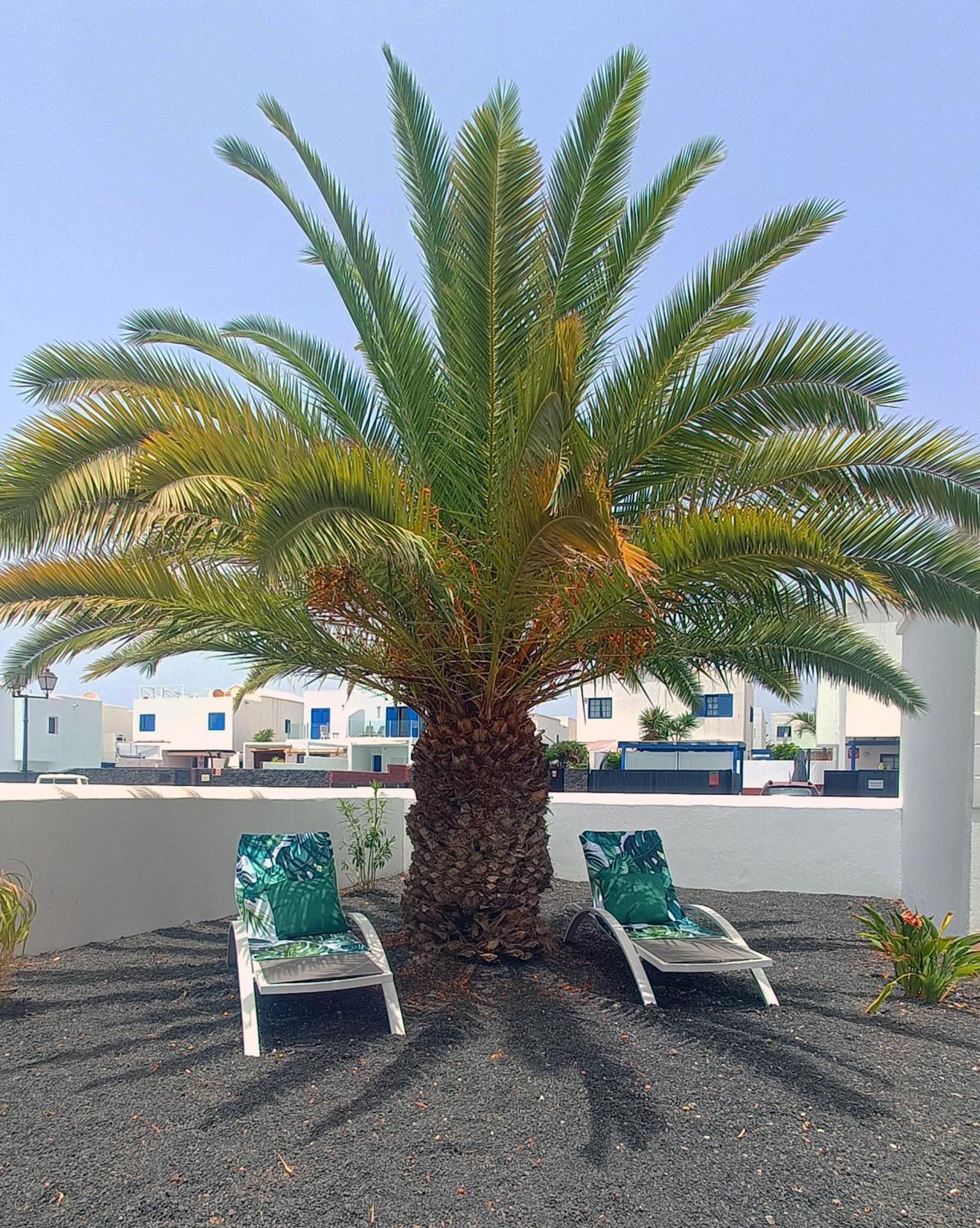 Lovely Casa Felicidad, Swimming Pool, Wifi X Private Garden Playa Blanca  Zewnętrze zdjęcie